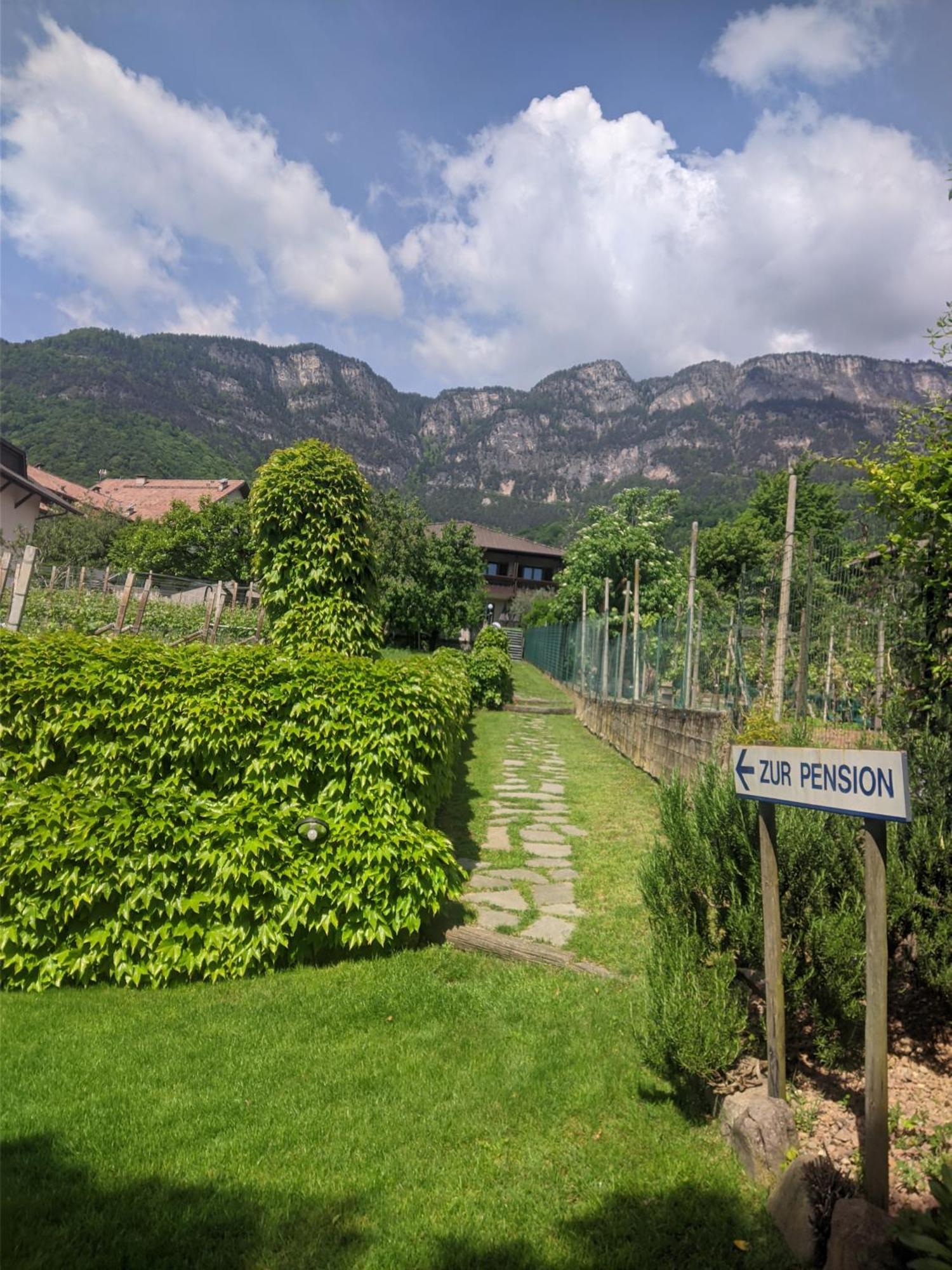 Garni Saltneregg Hotel Caldaro Exterior photo